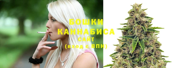гидра Покровск