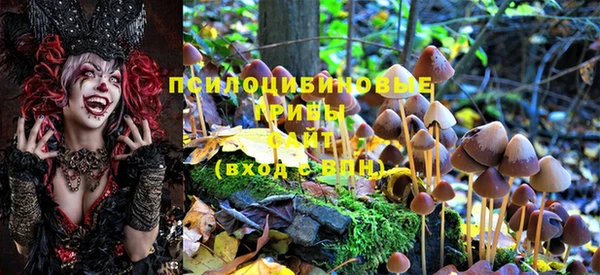 MDMA Premium VHQ Покров