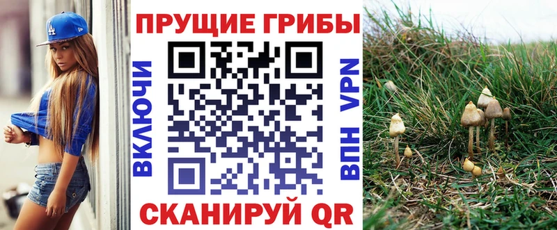 Галлюциногенные грибы Cubensis  Нытва 